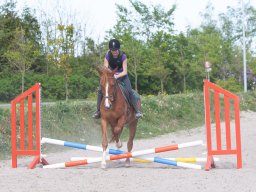 IMG_0554_web